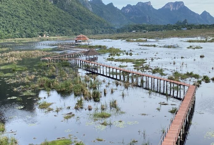 Sam Roi Yot’s Lotus Pond and Pranburi’s Gaeng Som Prik Nok | บึงบัว สามร้อยยอด แกงส้มพริกนก ปราณบุรี