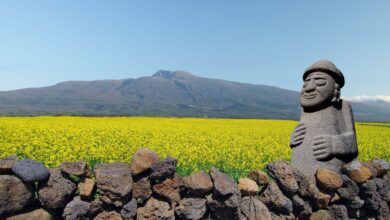 คู่มือเกาะเชจู: สวรรค์สำหรับการพักผ่อนอันหรูหราของเกาหลีใต้