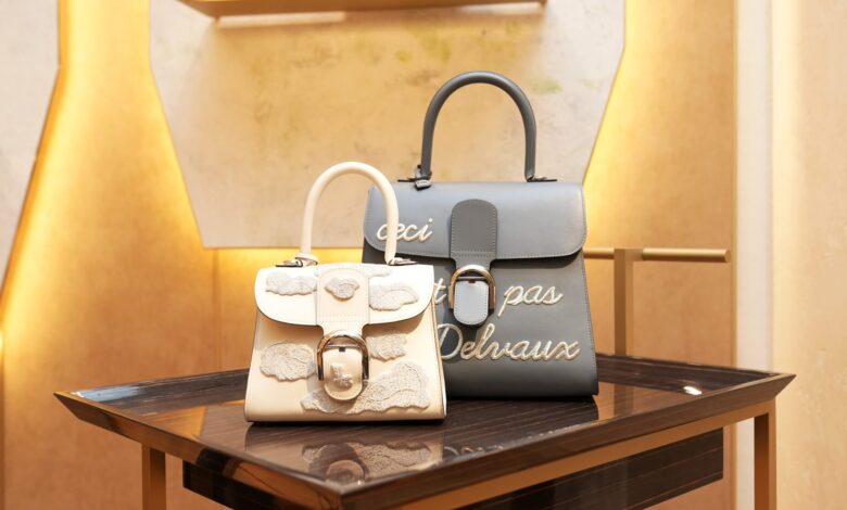 Lux Pick: Delvaux le Brilliant Handbag