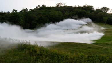 Khao Yai Art Forest ที่เที่ยวเขาใหญ่พื้นที่แห่งวงการศิลปะไทยในรูปแบบใหม่