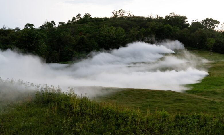 Khao Yai Art Forest ที่เที่ยวเขาใหญ่พื้นที่แห่งวงการศิลปะไทยในรูปแบบใหม่