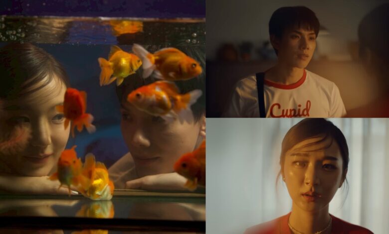 นิราศรักเอย (FAREWELL) ซิงเกิลใหม่จาก ‘ต้าห์อู๋ พิทยา’